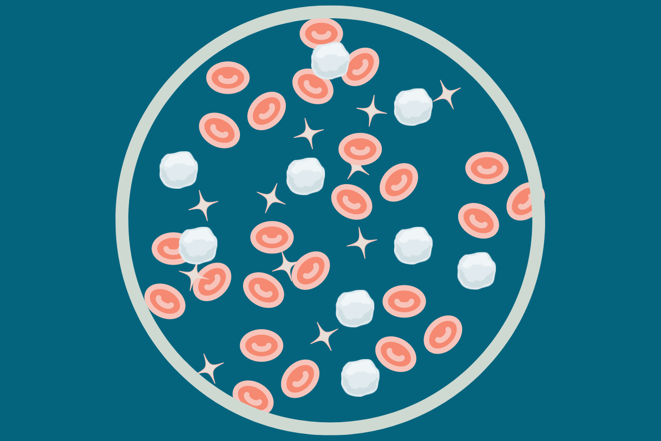 Cell Blood Count and Pregnancy