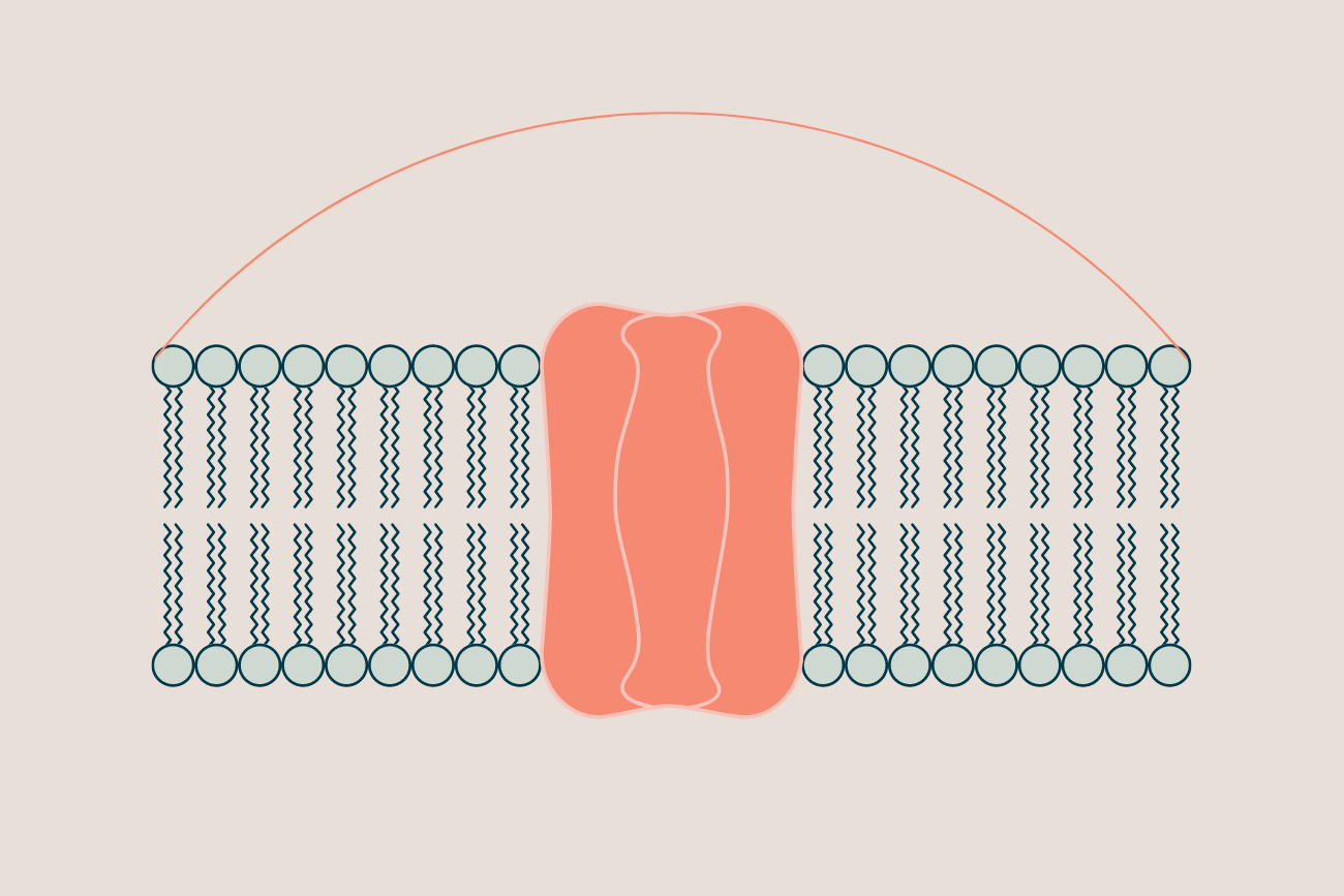 The Complement System and Pregnancy: Research Review