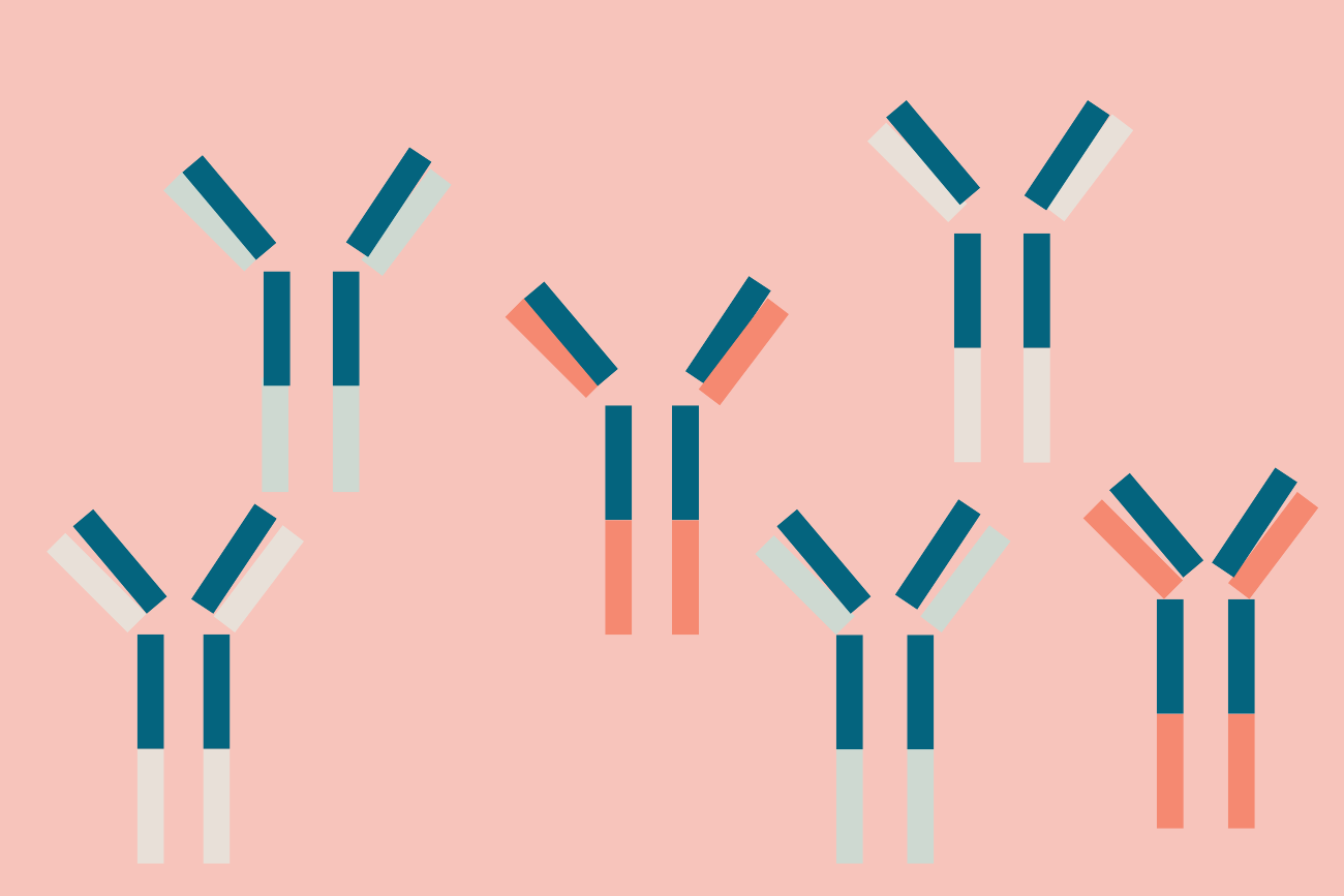HLA Antibodies and Pregnancy: Research Review