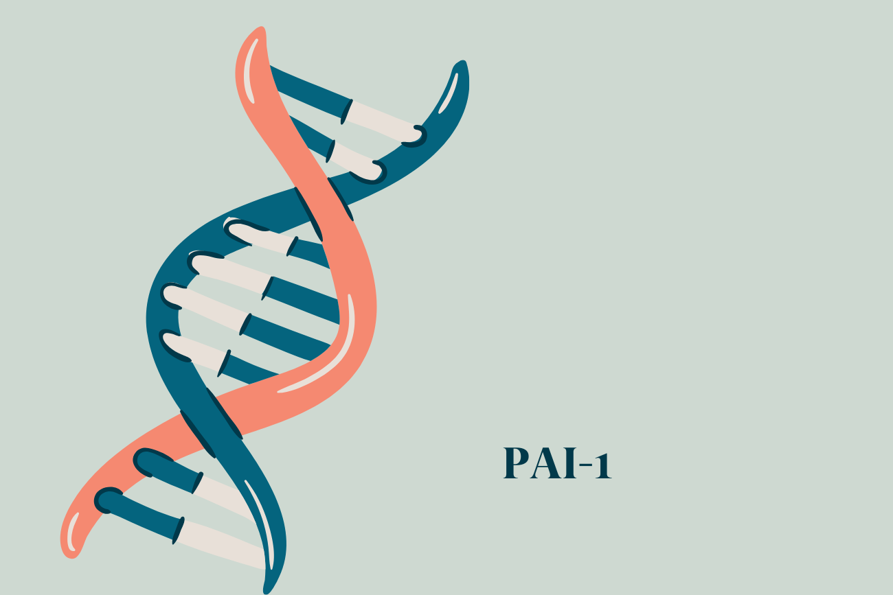 PAI-1, Thrombophilia and Pregnancy: Research Review