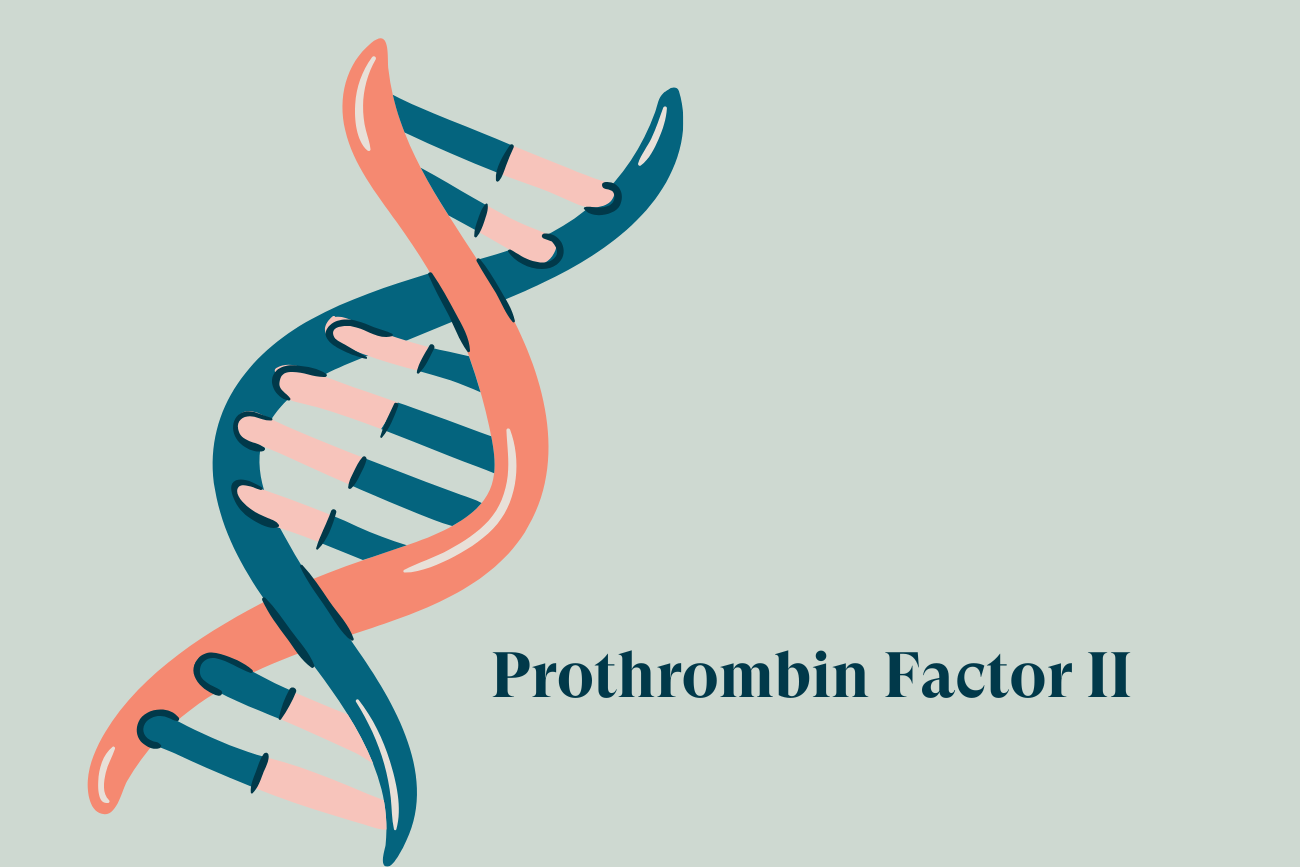 Prothrombin Factor II and Pregnancy: Research Review